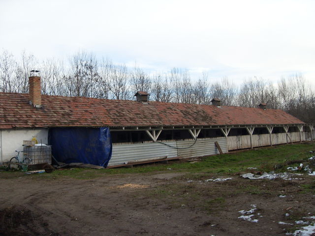 Székesfehérvári kistérség, mezőgazdasági - 213491 fotó