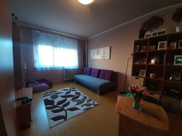 Győr, panel lakás - 282453 fotó